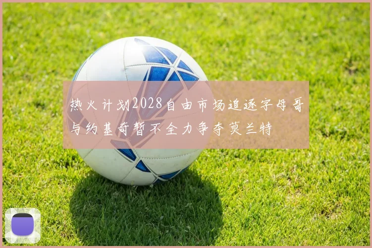 热火计划2028自由市场追逐字母哥与约基奇暂不全力争夺莫兰特